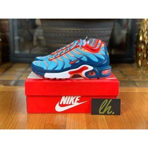 Size 4.5y Nike Air Max Plus "Swoosh Chain"